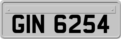 GIN6254