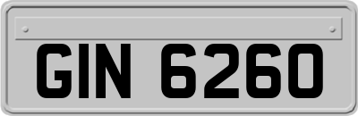GIN6260