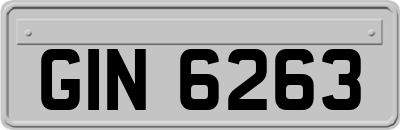 GIN6263