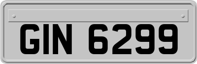 GIN6299