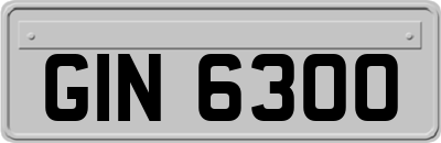 GIN6300