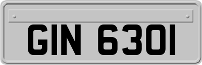 GIN6301