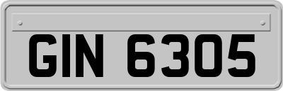 GIN6305
