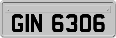 GIN6306