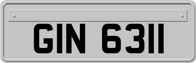 GIN6311