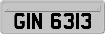 GIN6313
