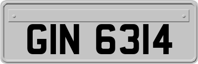 GIN6314