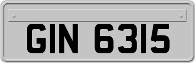 GIN6315