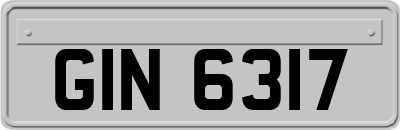 GIN6317