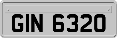 GIN6320