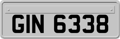 GIN6338