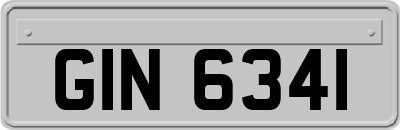 GIN6341