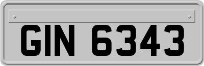 GIN6343