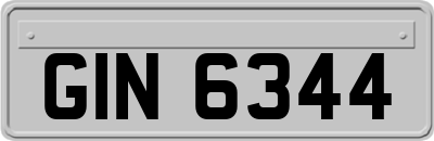 GIN6344