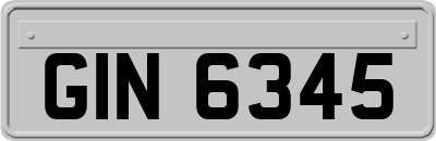 GIN6345