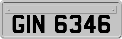 GIN6346