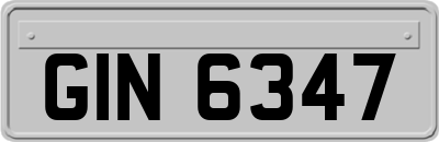 GIN6347