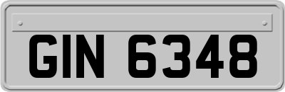GIN6348