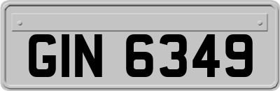 GIN6349