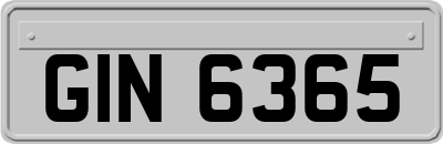 GIN6365