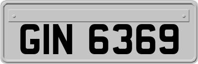 GIN6369