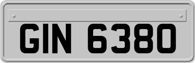 GIN6380