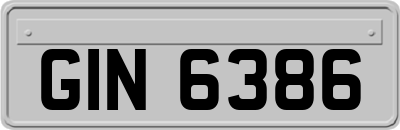 GIN6386