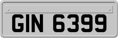 GIN6399