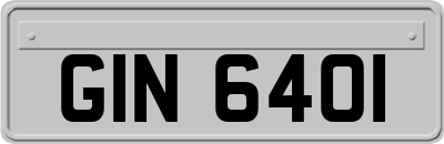 GIN6401
