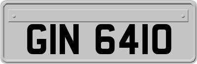 GIN6410