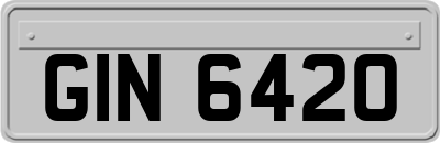 GIN6420