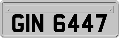 GIN6447
