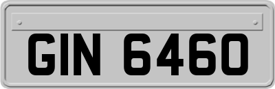 GIN6460