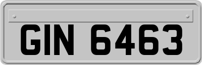 GIN6463
