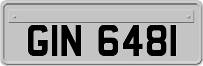 GIN6481