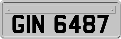 GIN6487