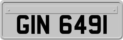 GIN6491