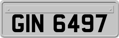 GIN6497