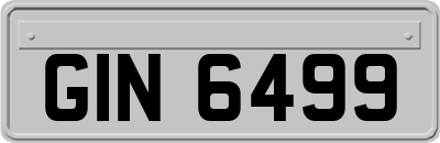GIN6499