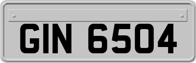 GIN6504