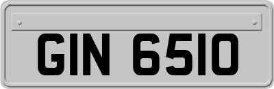 GIN6510