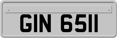 GIN6511