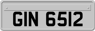 GIN6512