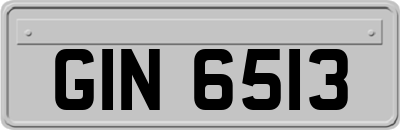GIN6513