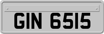 GIN6515