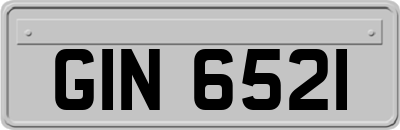GIN6521