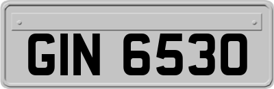 GIN6530