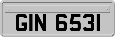 GIN6531