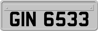 GIN6533