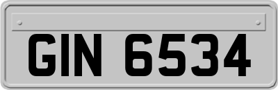 GIN6534
